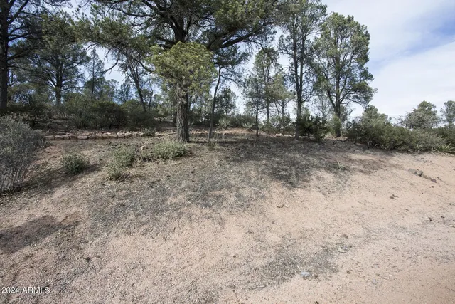 a view of backyard with green space