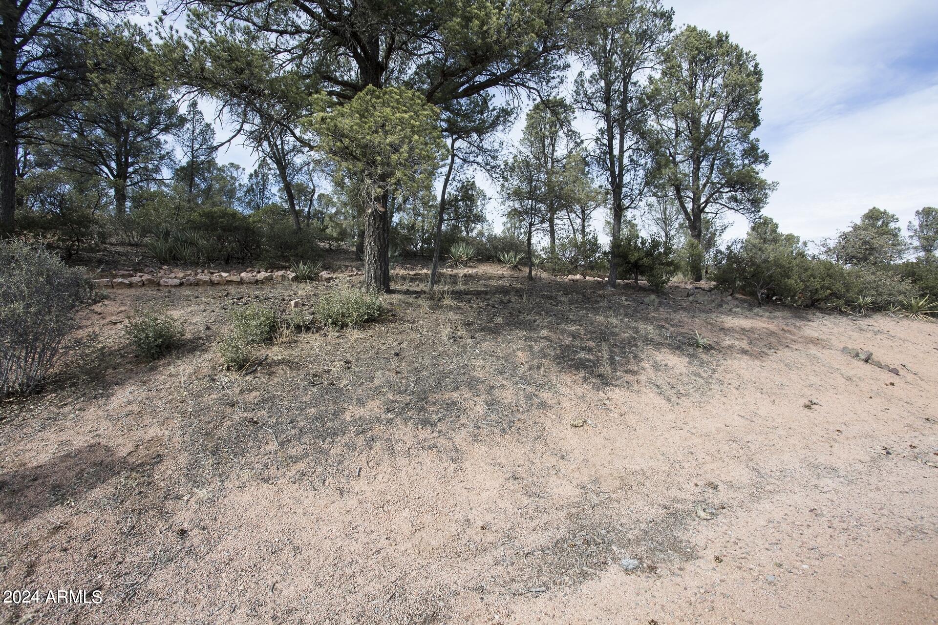506 South Rim Club Drive, Unit 7 Payson, AZ 85541 - Photo 12 of 29 a view of backyard with green space