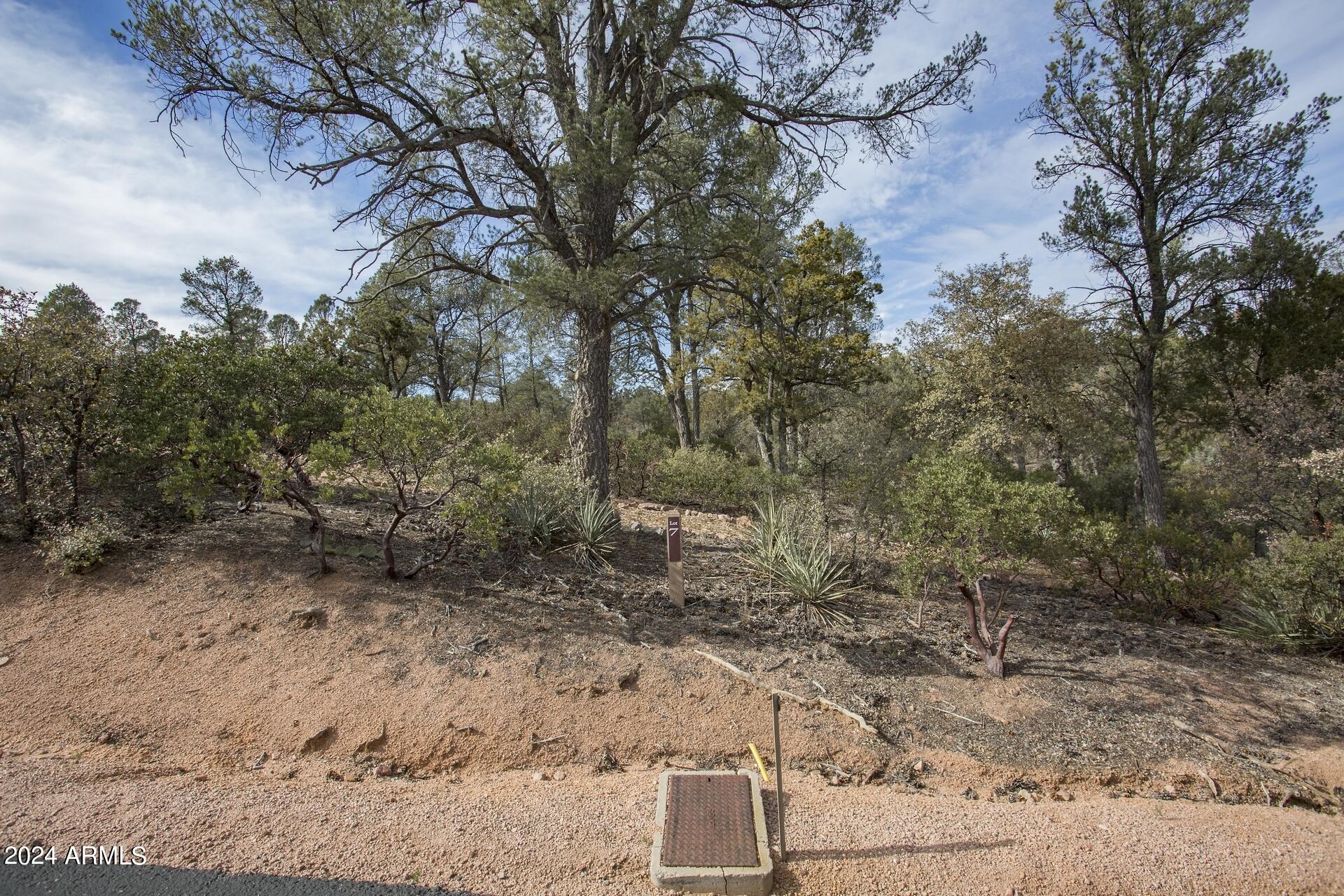 506 South Rim Club Drive, Unit 7 Payson, AZ 85541 - Photo 13 of 29 a view of a yard with large trees