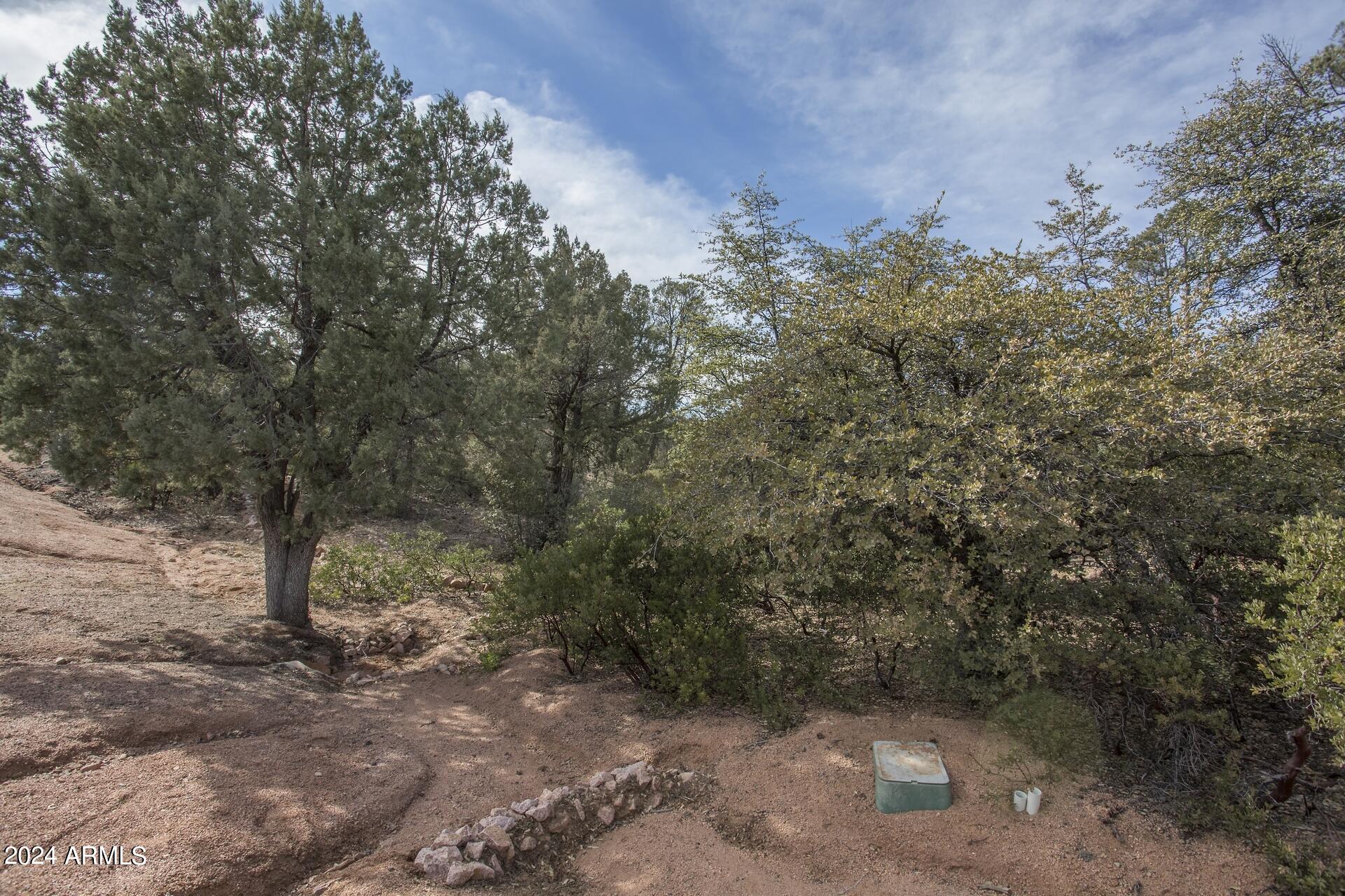 506 South Rim Club Drive, Unit 7 Payson, AZ 85541 - Photo 14 of 29 a view of a forest with trees in the background