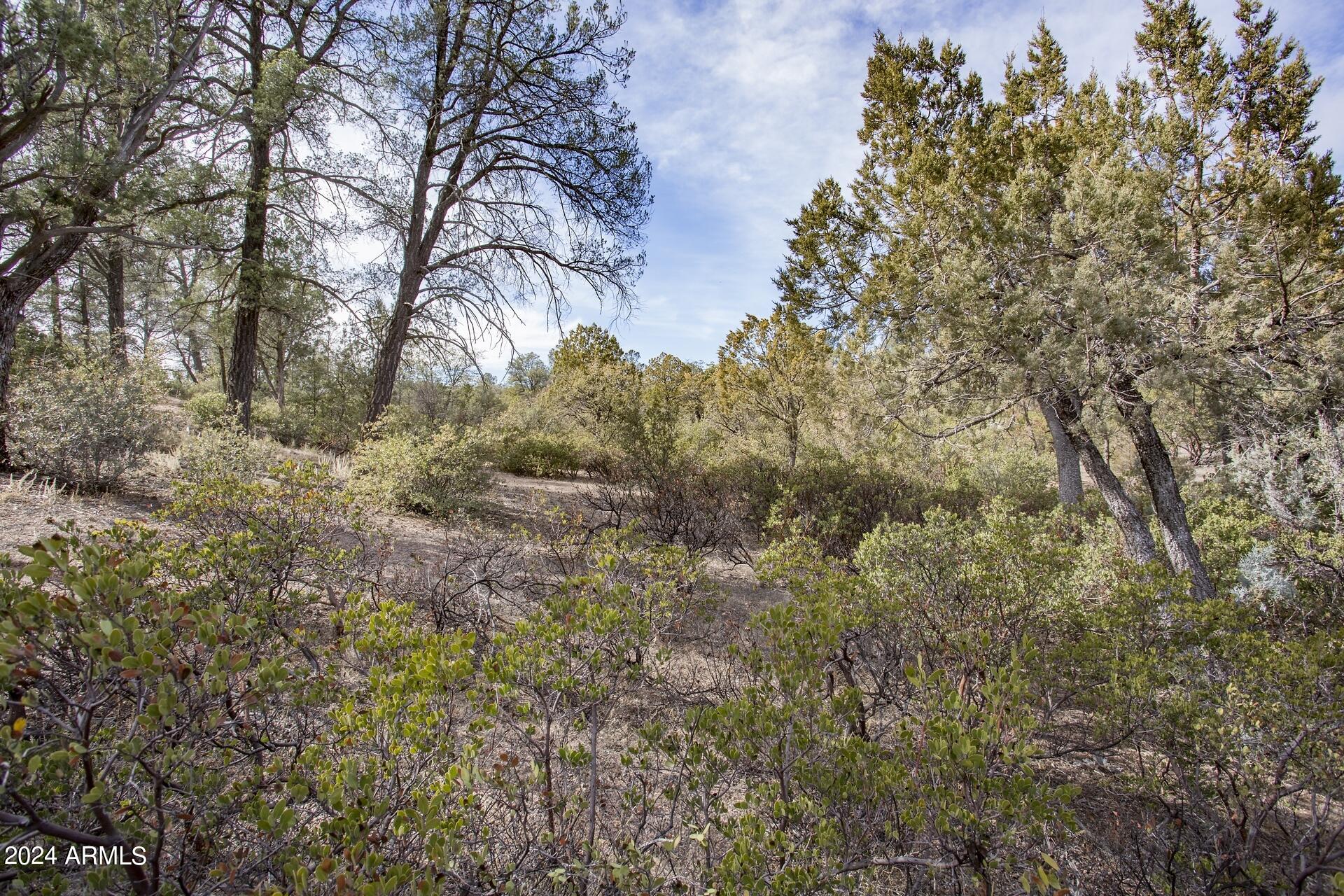 506 South Rim Club Drive, Unit 7 Payson, AZ 85541 - Photo 15 of 29 a view of a yard with a tree