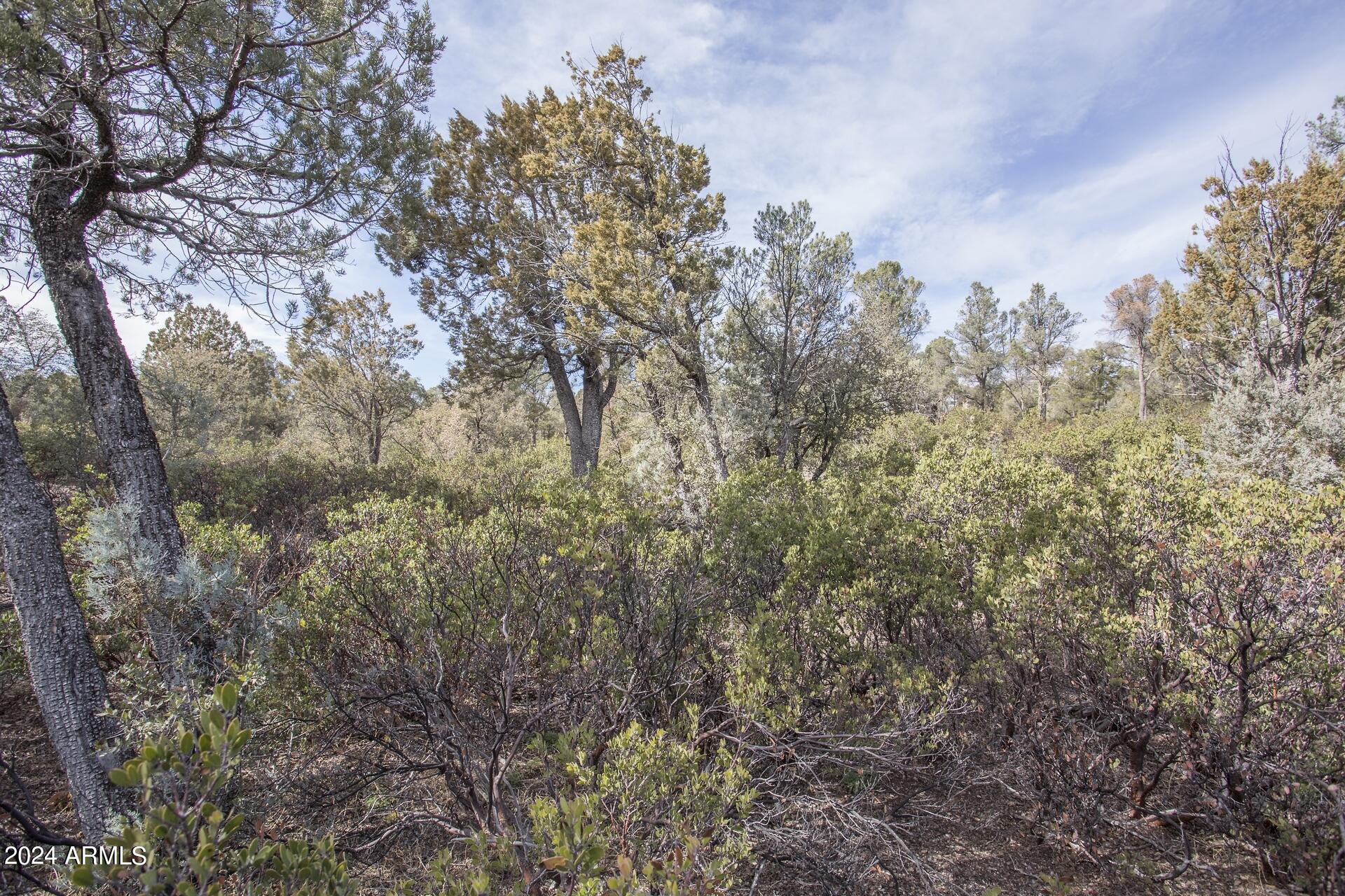 506 South Rim Club Drive, Unit 7 Payson, AZ 85541 - Photo 16 of 29 a view of a city with lush green forest
