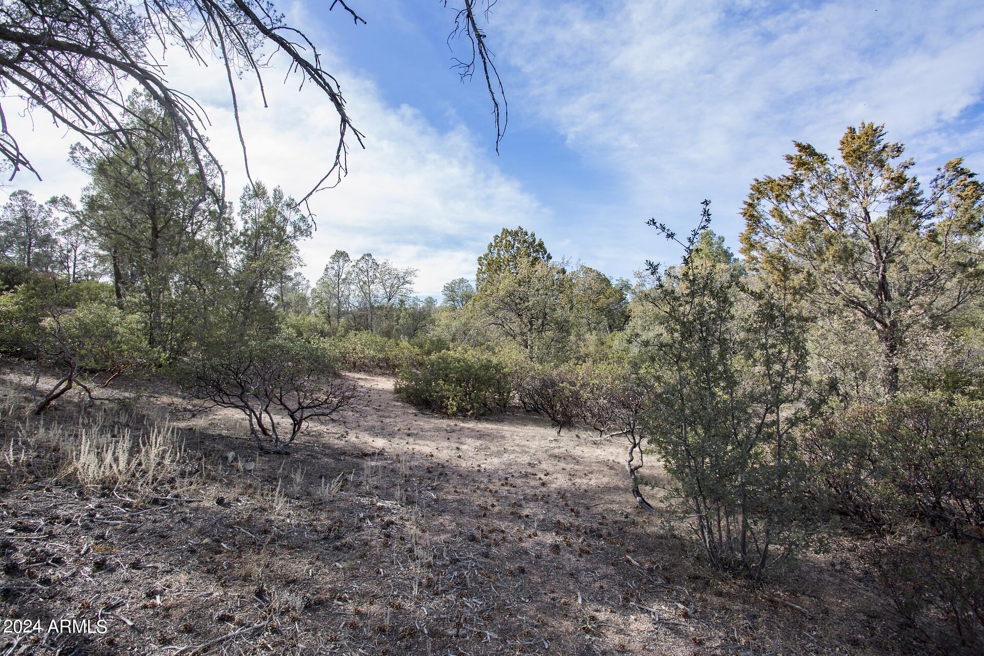 506 South Rim Club Drive, Unit 7 Payson, AZ 85541 - Photo 17 of 29 a view of a yard with a tree