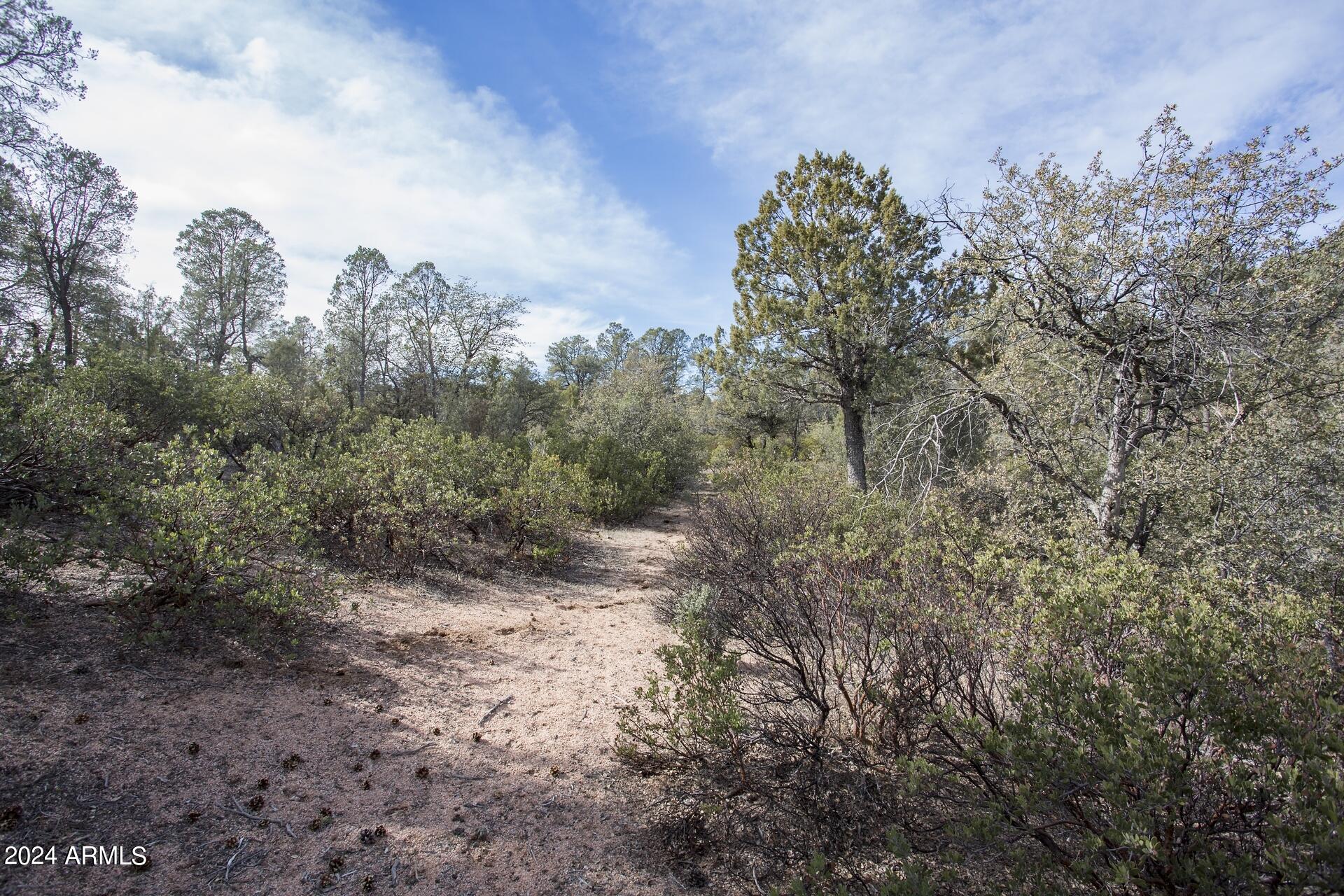 506 South Rim Club Drive, Unit 7 Payson, AZ 85541 - Photo 18 of 29 a view of a yard with trees in the background