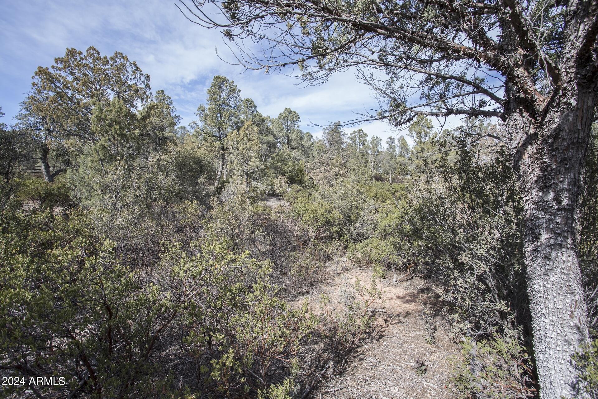 506 South Rim Club Drive, Unit 7 Payson, AZ 85541 - Photo 19 of 29 a view of a yard with a tree