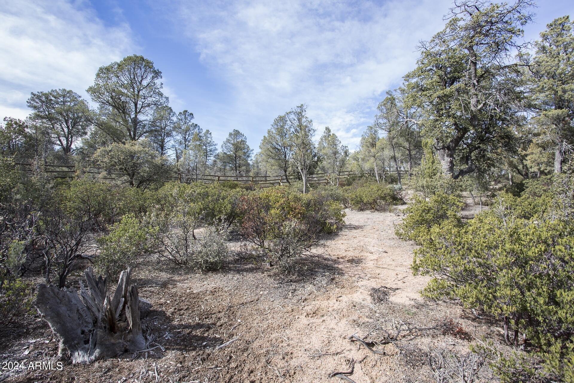 506 South Rim Club Drive, Unit 7 Payson, AZ 85541 - Photo 20 of 29 a view of a covered with trees in the background