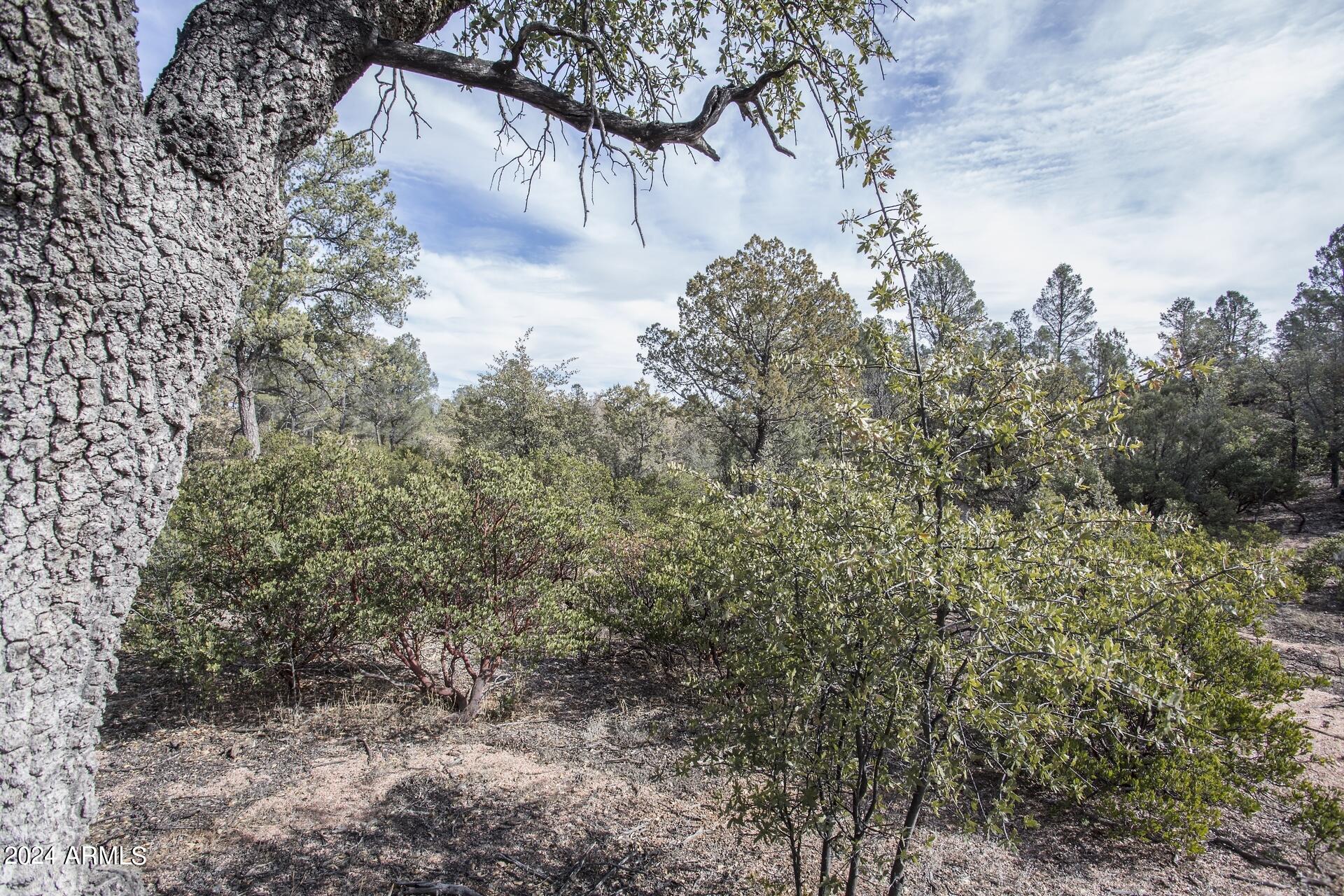 506 South Rim Club Drive, Unit 7 Payson, AZ 85541 - Photo 21 of 29 a view of a yard with large trees
