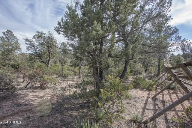 a view of a yard with a tree