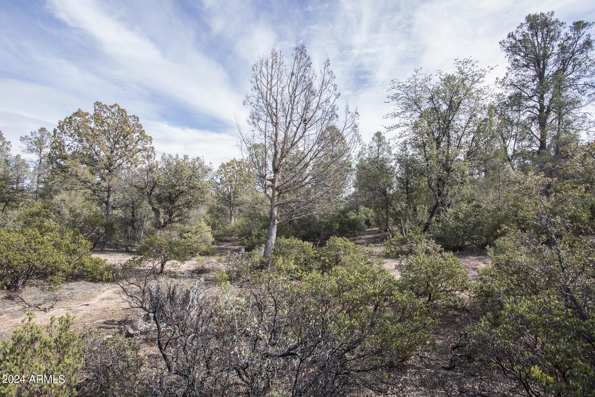 506 South Rim Club Drive, Unit 7 Payson, AZ 85541 - Photo 24 of 29 a view of a yard with a tree