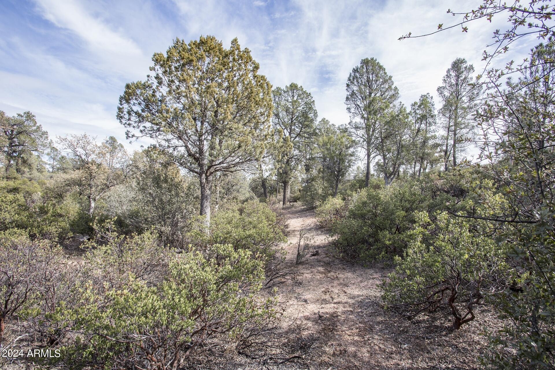 506 South Rim Club Drive, Unit 7 Payson, AZ 85541 - Photo 25 of 29 a view of a forest with lots of trees