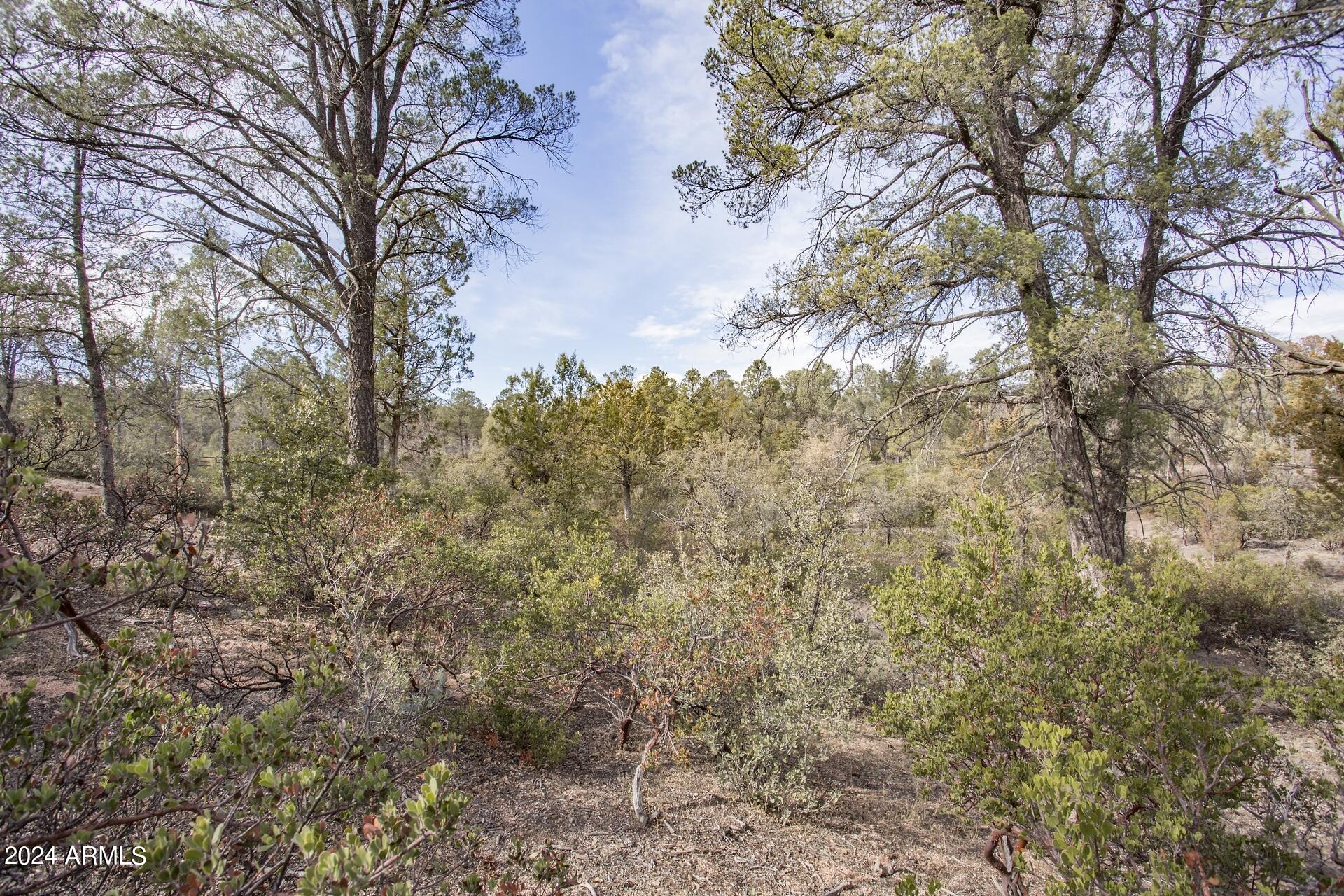 506 South Rim Club Drive, Unit 7 Payson, AZ 85541 - Photo 27 of 29 a view of a forest with lots of trees