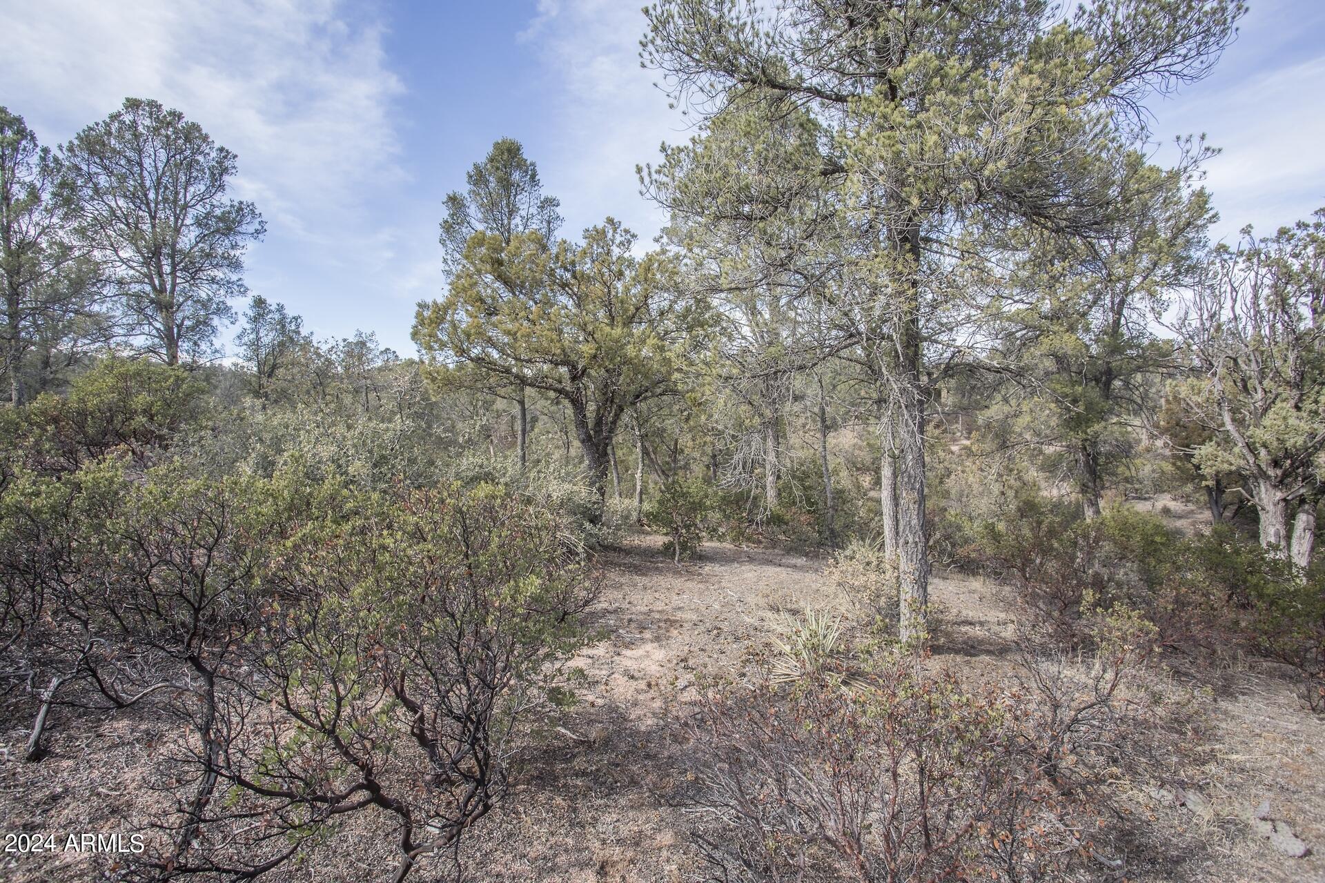 506 South Rim Club Drive, Unit 7 Payson, AZ 85541 - Photo 28 of 29 a view of a forest with trees in the background