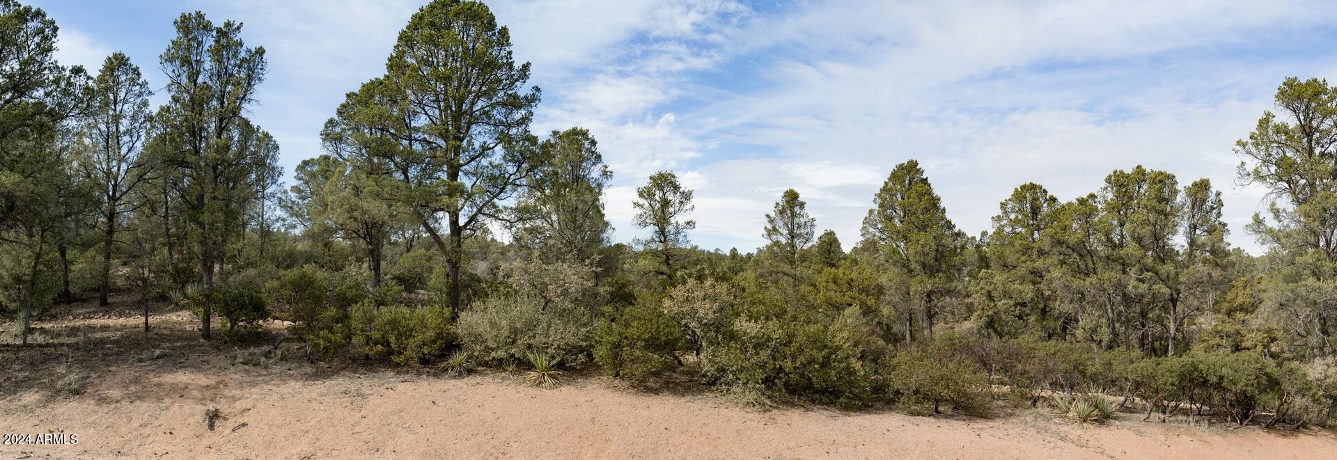 506 South Rim Club Drive, Unit 7 Payson, AZ 85541 - Photo 5 of 29 a view of a large trees with lots of trees