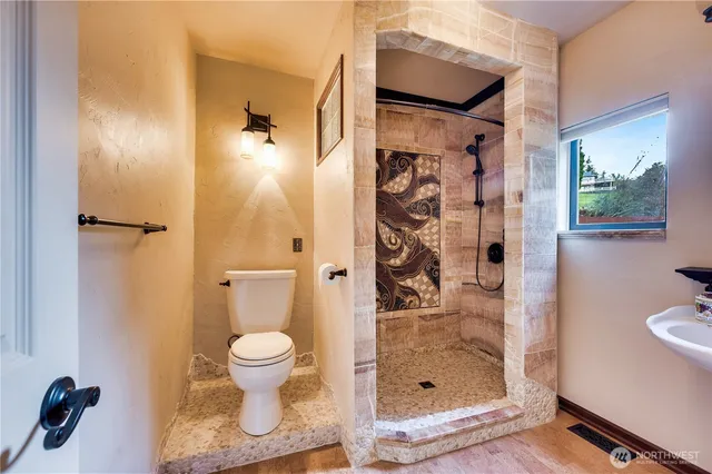 a bathroom with a shower and a toilet