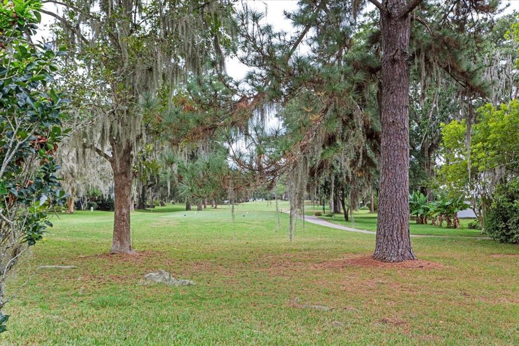 7203 Northwest 121st Avenue Alachua, FL 32615 - Photo 28 of 37 a view of a trees in a park