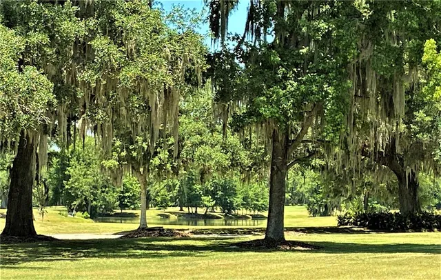 a view of swimming pool with lawn chairs and large trees