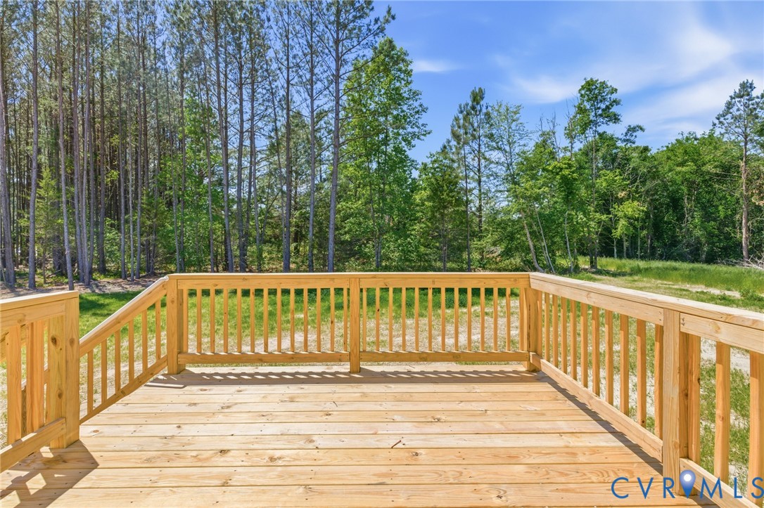 8440 Railroad Bed Road Carson, VA 23830 - Photo 25 of 25