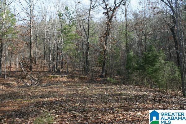 545 Chinnabee Road, Unit 24 ACRES Munford, AL 36268 - Photo 2 of 6