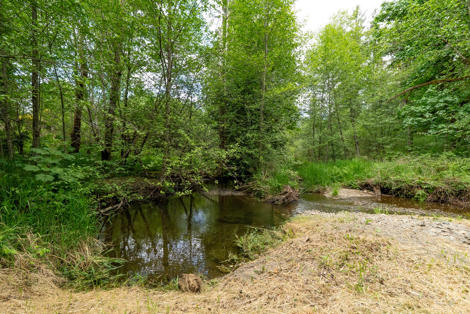 2018 Maple Valley Road Southwest Olympia, WA 98512 - Photo 35 of 40 Gallery Image 35