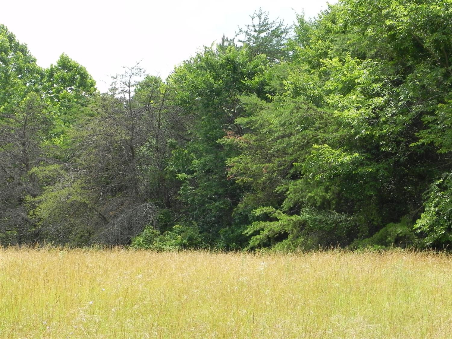 9999 Sasser School Road London, KY 40744 - Photo 25 of 53 Listing Photo