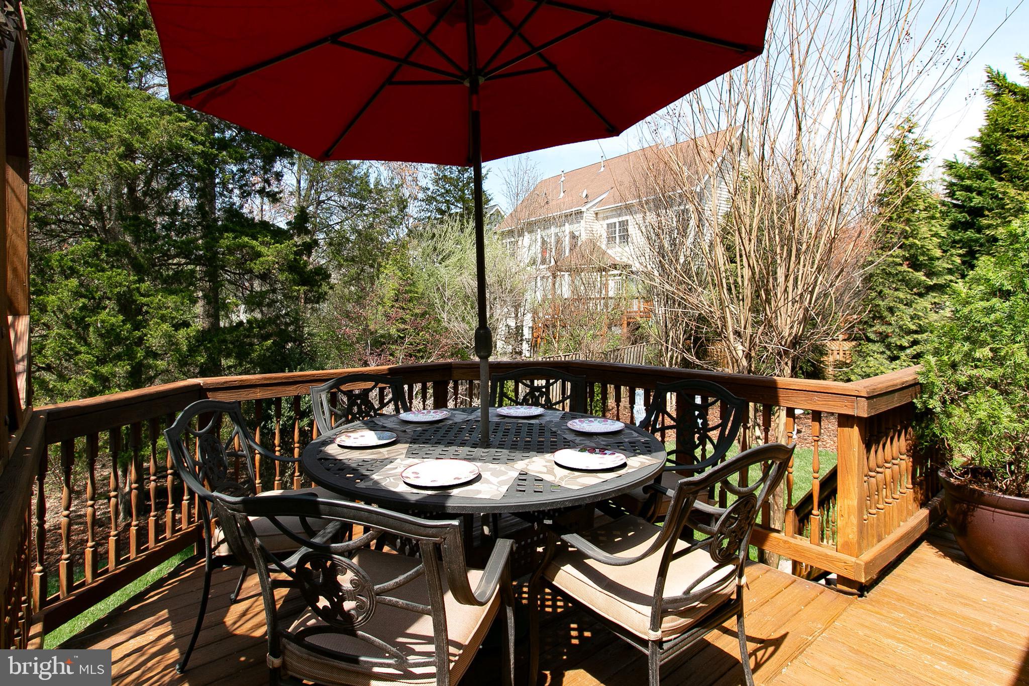 4700 Autumn Glory Way Chantilly, VA 20151 - Photo 24 of 49 RELAX WITH FRIENDS AND FAMILY!