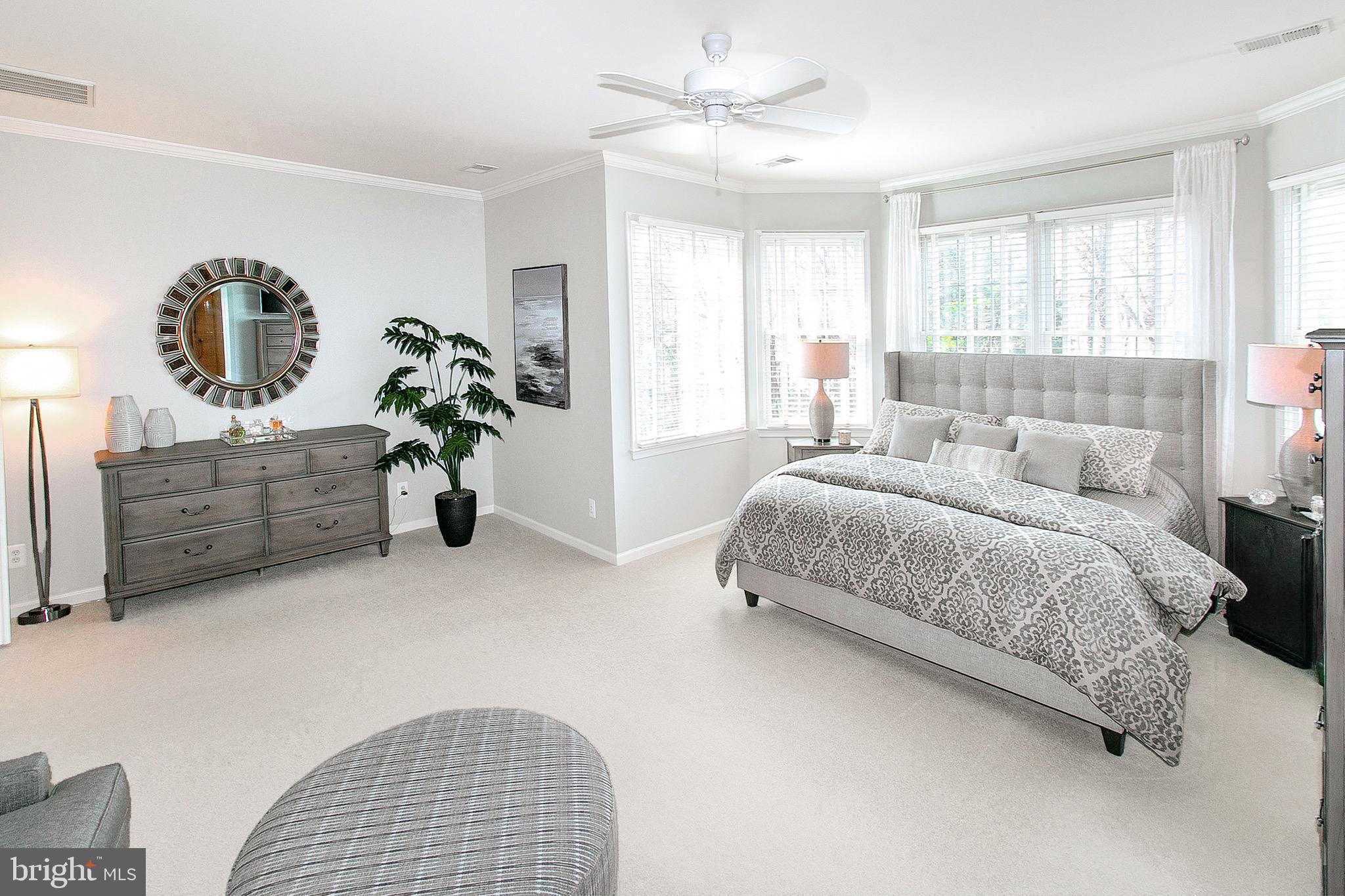 4700 Autumn Glory Way Chantilly, VA 20151 - Photo 26 of 49 SUN-FILLED NATURAL LIGHTING