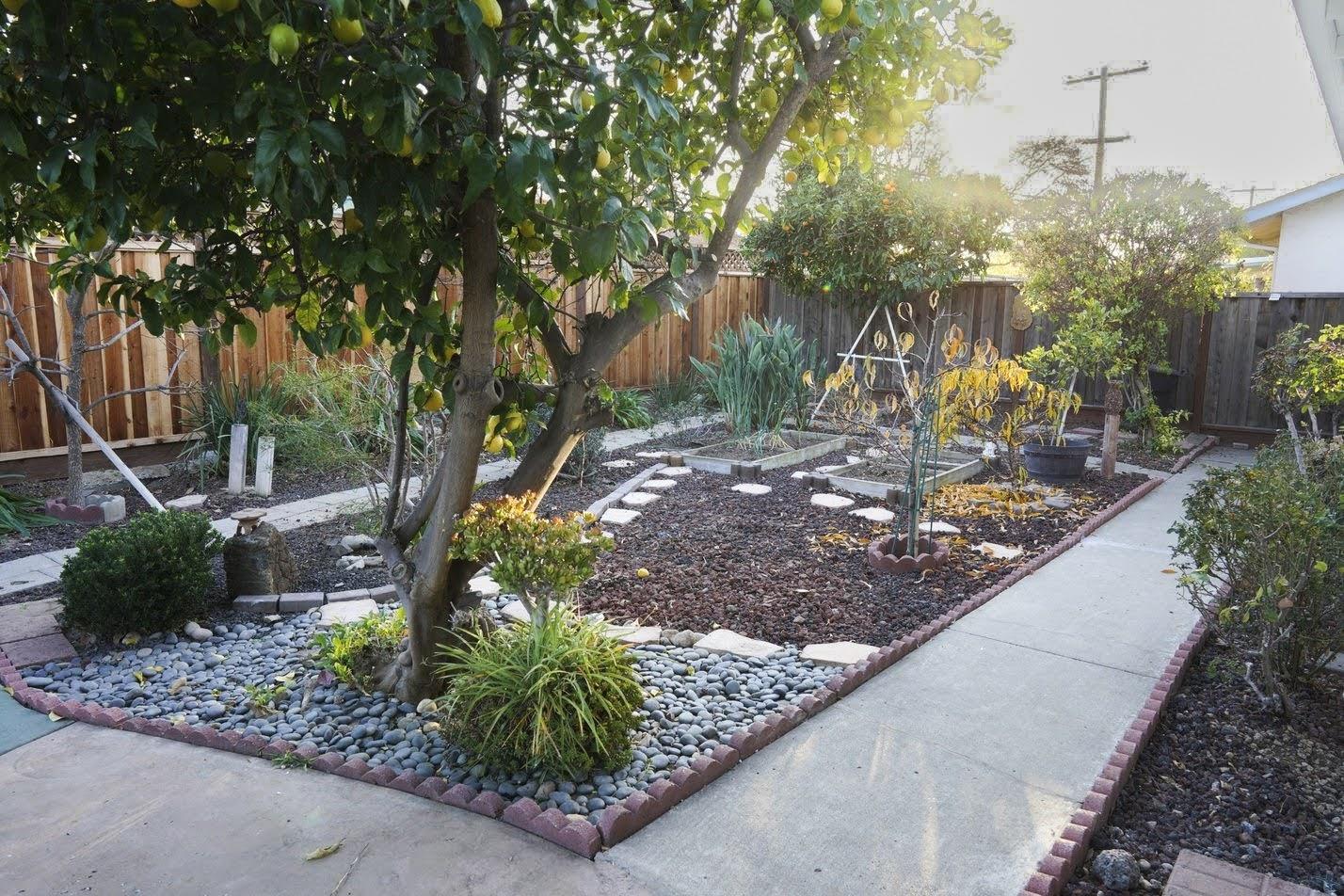 1642 Matson Drive San Jose, CA 95124 - Photo 13 of 15 a view of a tree in front of a house