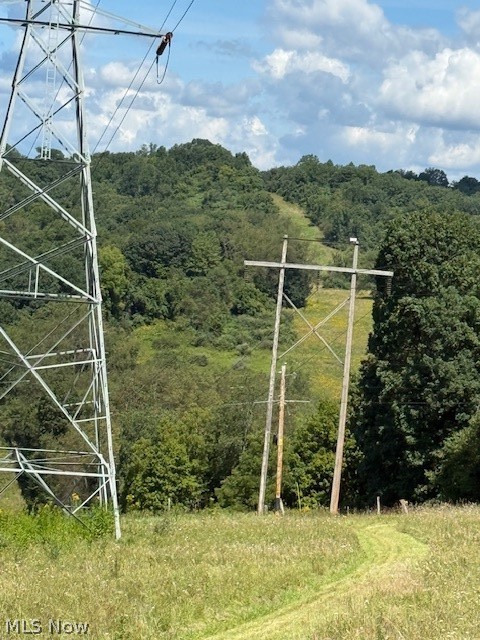 38255 Lees Run Road Cadiz, OH 43907 - Photo 18 of 37 Gallery Image 18