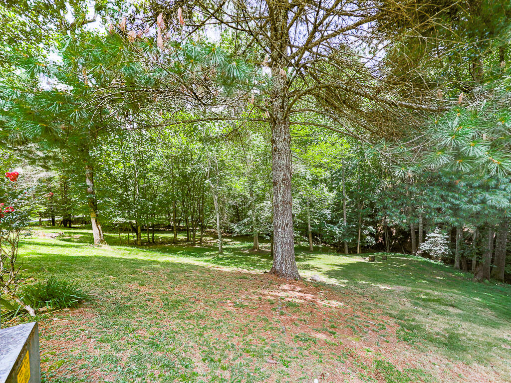 314 Spring Creek Road Blairsville, GA 30512 - Photo 28 of 34 Gallery Image 28