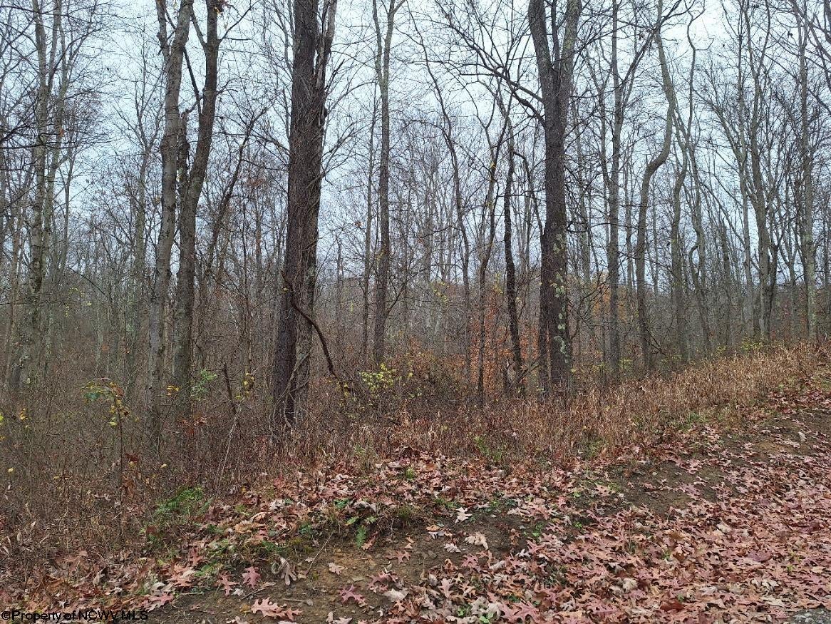 Tbd Jack Run Road Bridgeport, WV 26330 - Photo 15 of 19 Gallery Image 15