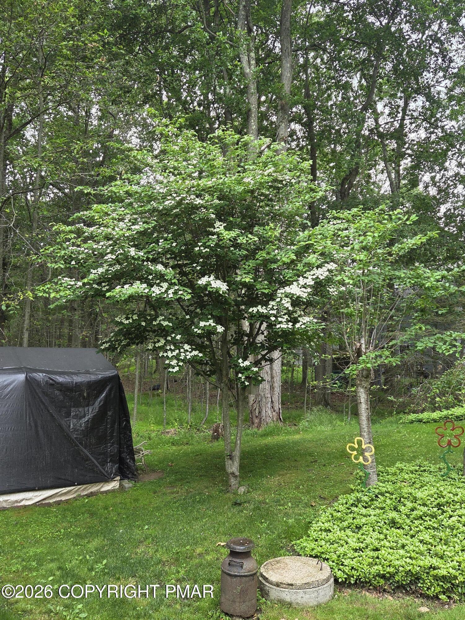 4142 Romeo Road Tobyhanna, PA 18466 - Photo 72 of 80 Mature Trees