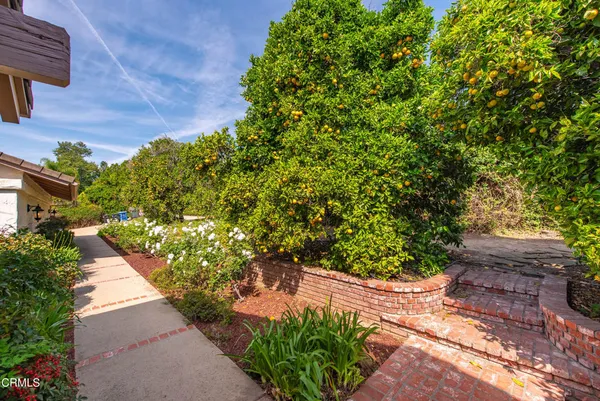 a view of a garden with pathway