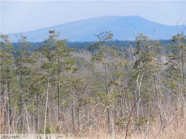 11 Matthews Road Pilot Mountain, NC 27041 - Photo 1 of 11 Other. Sauratown Mountain View