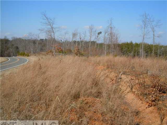 11 Matthews Road Pilot Mountain, NC 27041 - Photo 3 of 11 Other. Road frontage