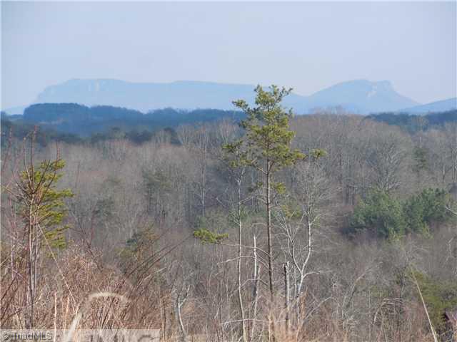 11 Matthews Road Pilot Mountain, NC 27041 - Photo 5 of 11 Other. Hanging Rock view
