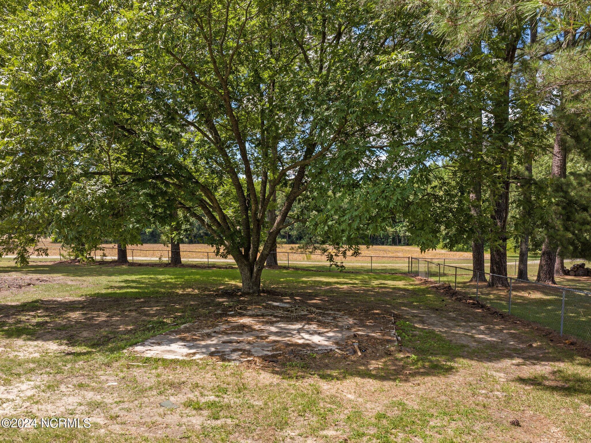 5688 Deans Road Battleboro, NC 27809 - Photo 37 of 50 37-web-or-mls-DJI_20240620145226_0196_D