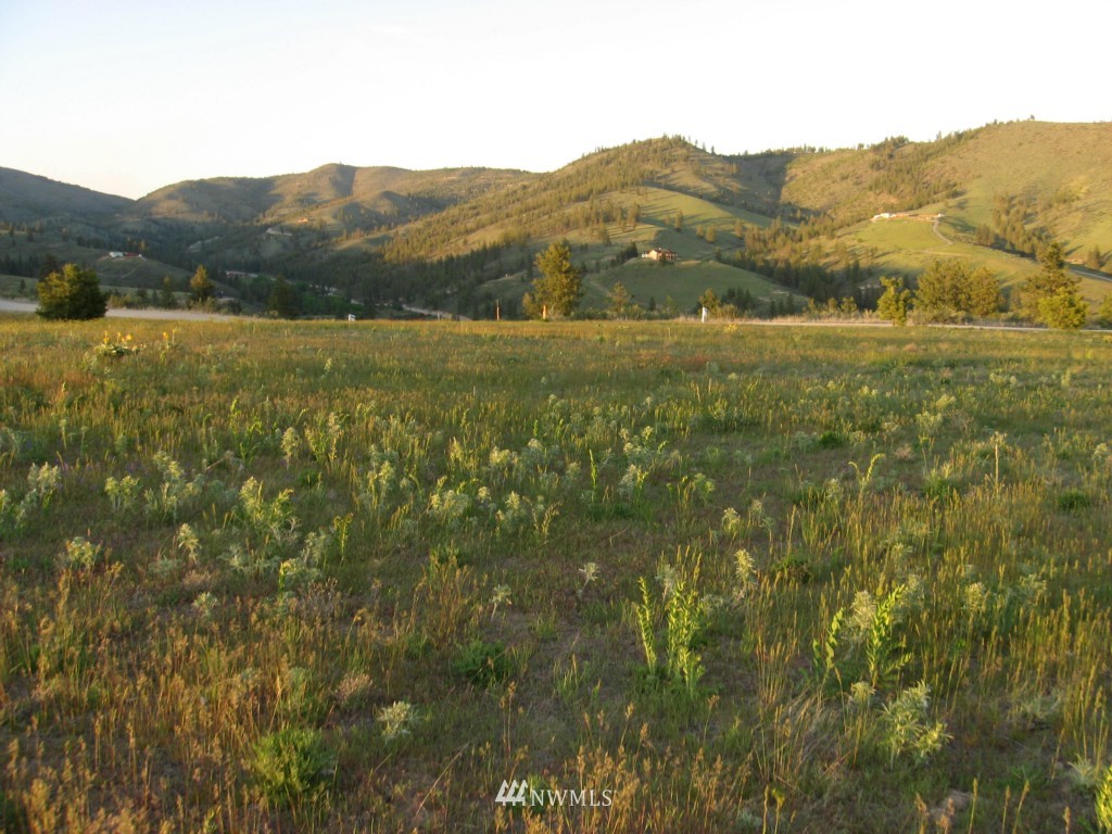 0 Lot 9 Trails Road Manson, WA 98831 - Photo 1 of 13 Gallery Image 1