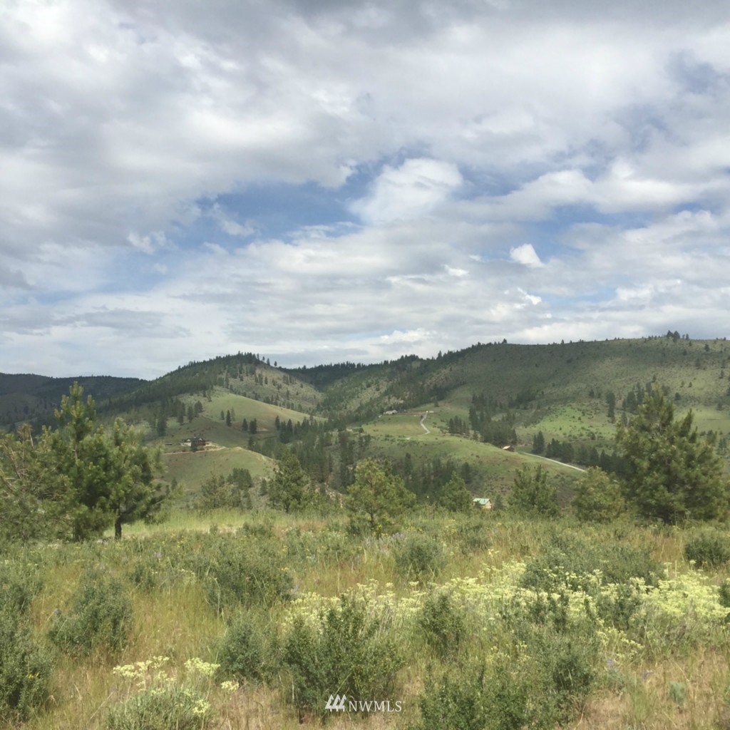 0 Lot 9 Trails Road Manson, WA 98831 - Photo 2 of 13 Gallery Image 2