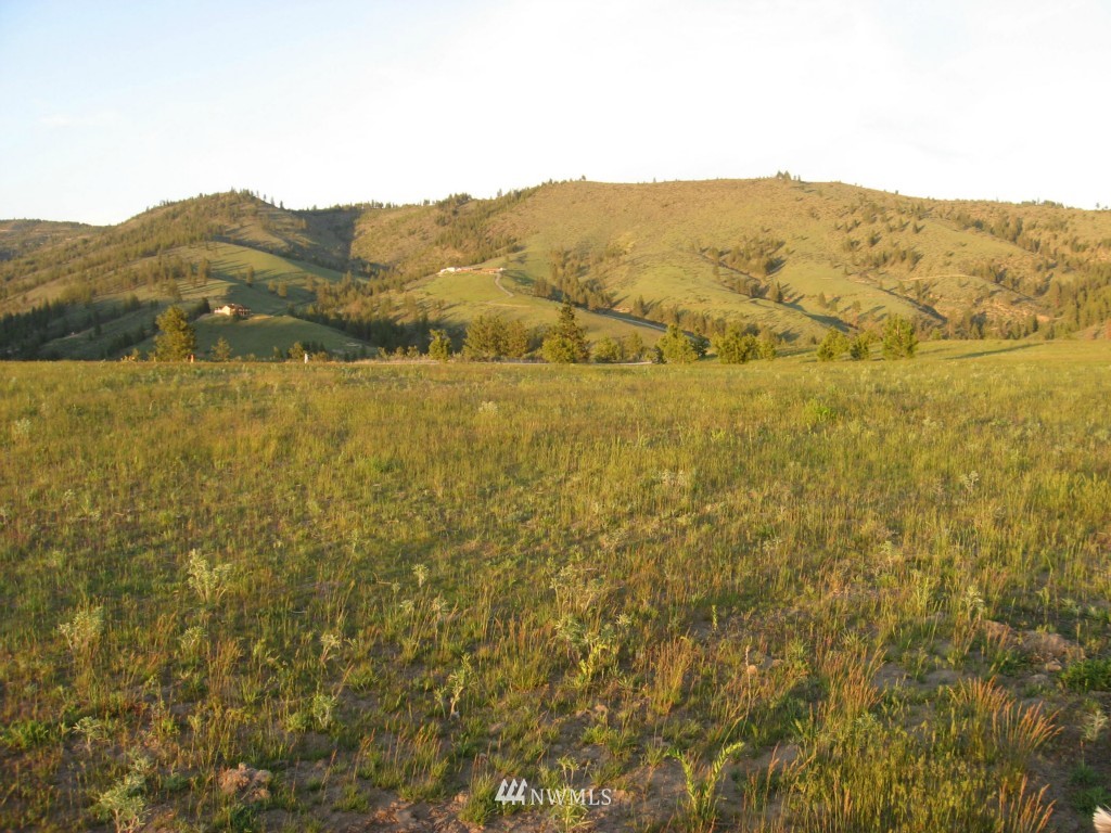 0 Lot 9 Trails Road Manson, WA 98831 - Photo 11 of 13 Gallery Image 11