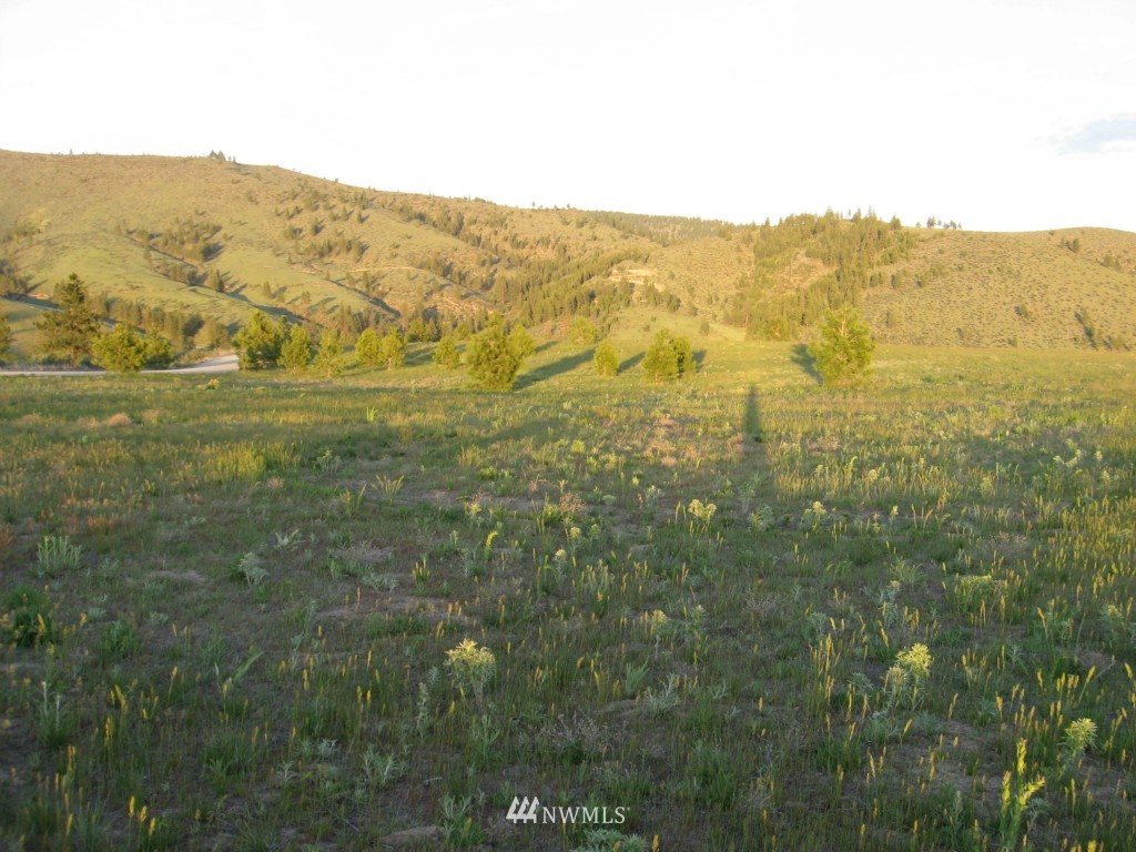 0 Lot 9 Trails Road Manson, WA 98831 - Photo 12 of 13 Gallery Image 12