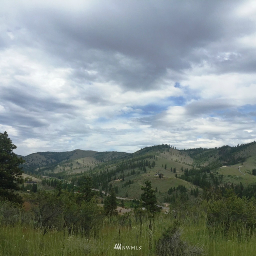 0 Lot 9 Trails Road Manson, WA 98831 - Photo 13 of 13 Gallery Image 13