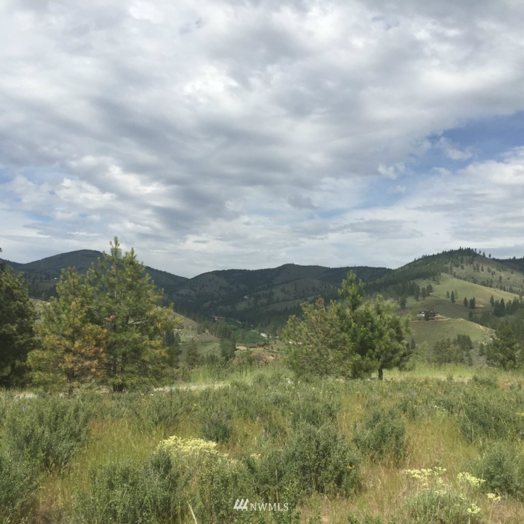 0 Lot 9 Trails Road Manson, WA 98831 - Photo 3 of 13 Gallery Image 3