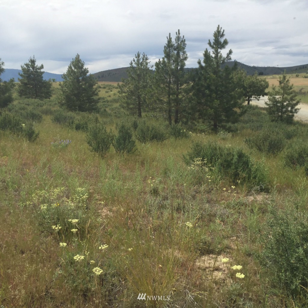 0 Lot 9 Trails Road Manson, WA 98831 - Photo 4 of 13 Gallery Image 4