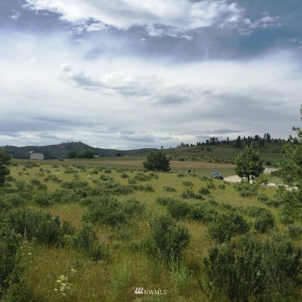 0 Lot 9 Trails Road Manson, WA 98831 - Photo 5 of 13 Gallery Image 5