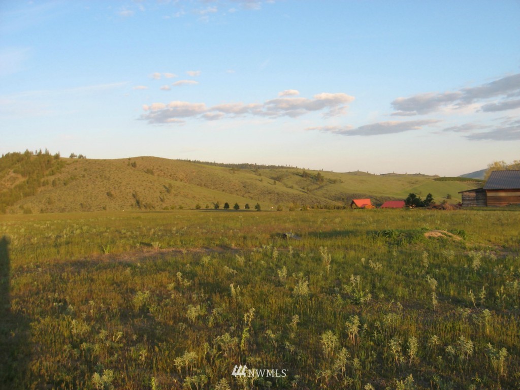 0 Lot 9 Trails Road Manson, WA 98831 - Photo 6 of 13 Gallery Image 6
