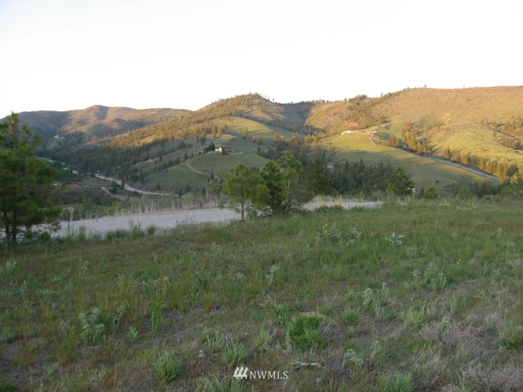 0 Lot 9 Trails Road Manson, WA 98831 - Photo 7 of 13 Gallery Image 7
