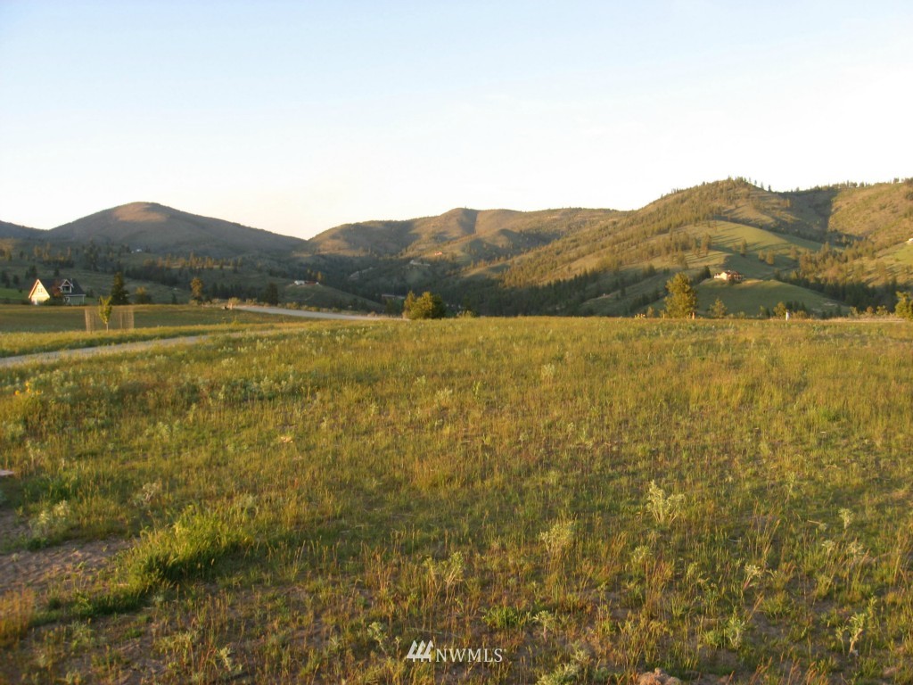 0 Lot 9 Trails Road Manson, WA 98831 - Photo 8 of 13 Gallery Image 8