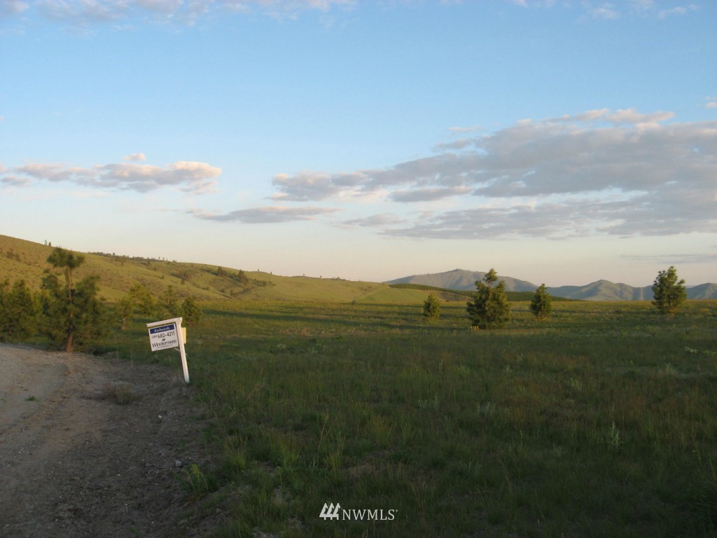 0 Lot 9 Trails Road Manson, WA 98831 - Photo 9 of 13 Gallery Image 9