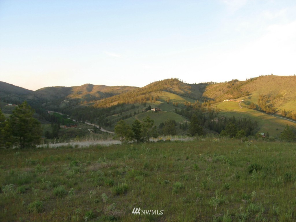 0 Lot 9 Trails Road Manson, WA 98831 - Photo 10 of 13 Gallery Image 10