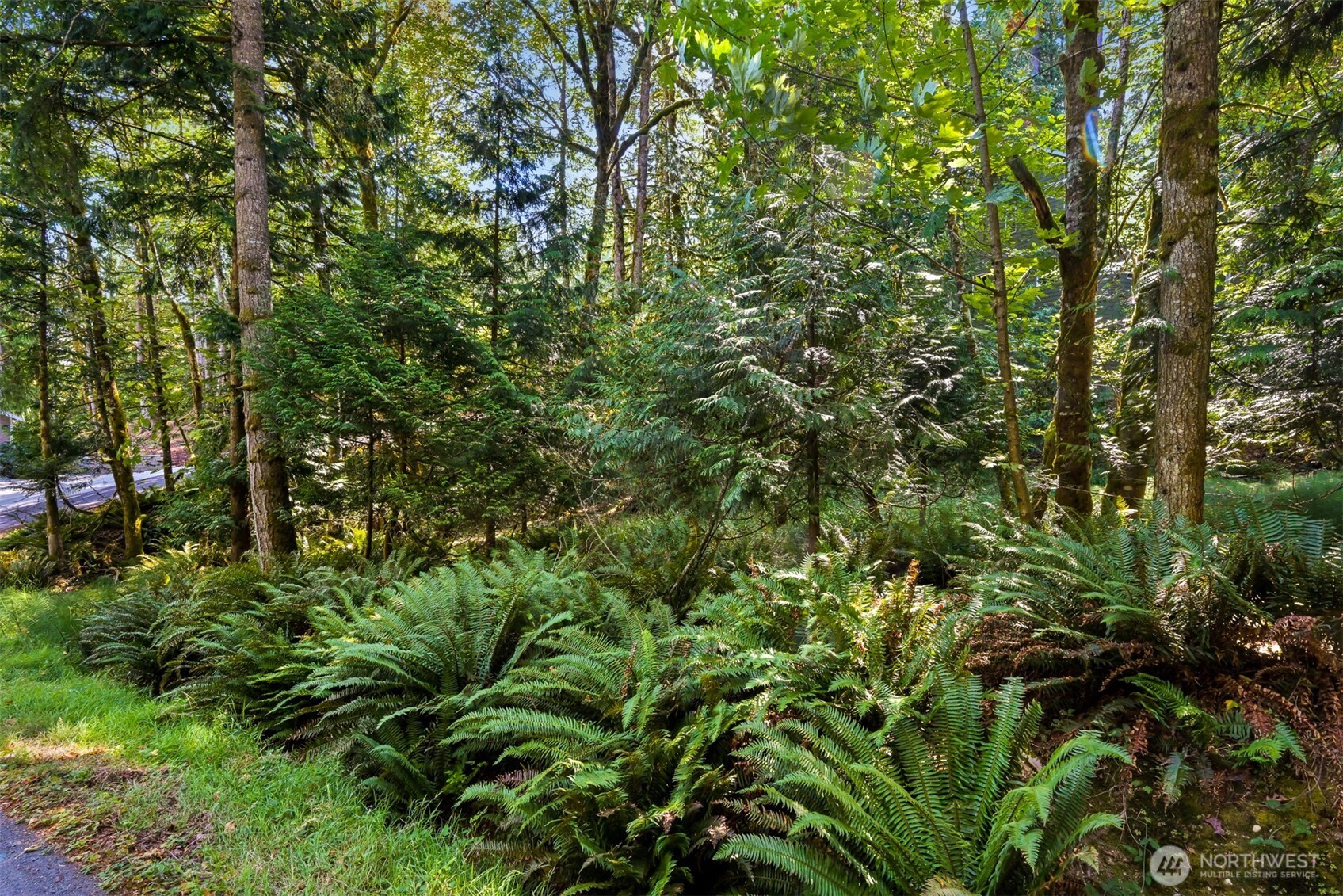 2 Indian Ridge Court Bellingham, WA 98229 - Photo 9 of 9 Gallery Image 9